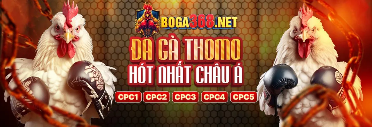 S6666 Link Mới 2026 Chính Thức: Ưu Đãi Đăng Ký & Nạp Tiền